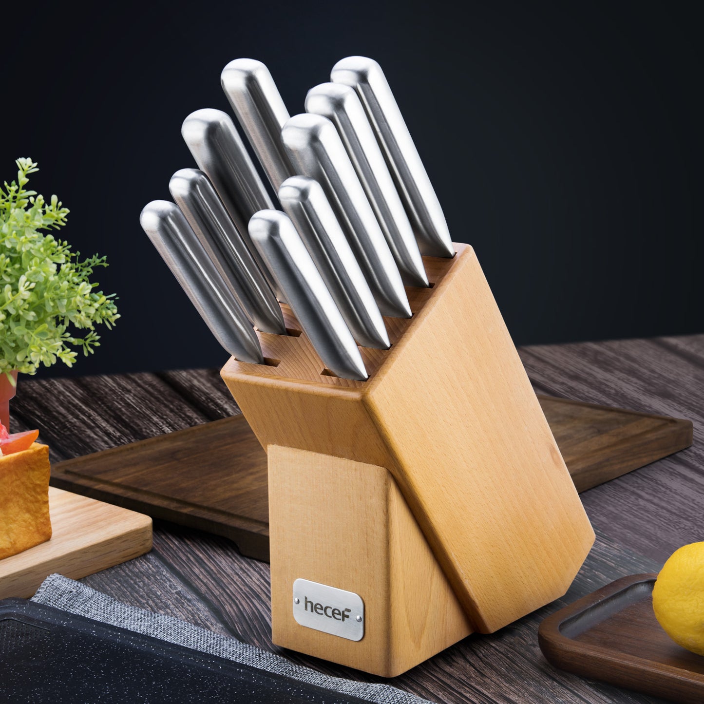 Hecef Kitchen Knife Set of 10 with Knife Block & Honing Steel - Hecef Kitchen