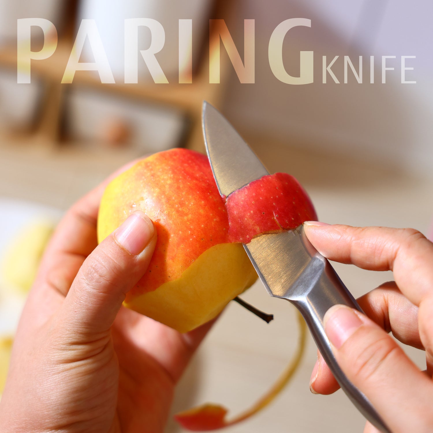 29 Series Five Piece Sanding Hollow Handle Knife - Hecef Kitchen